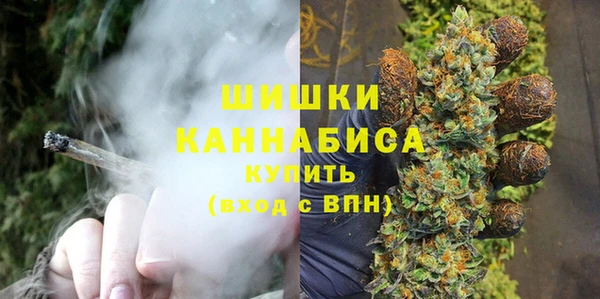 гашиш Богданович