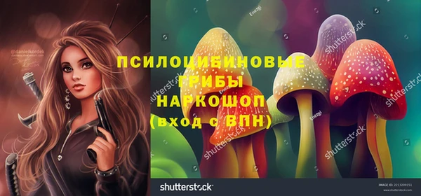 тгк Богородск