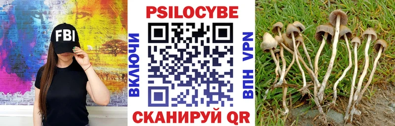 Галлюциногенные грибы прущие грибы  Купить  Южноуральск 